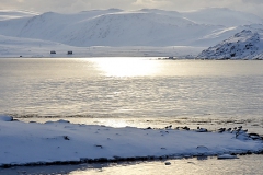 Sandfjord i bakgrunnen