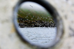 Bilder fra Tufjord. Fotograf er fra Tønsbergs Blad