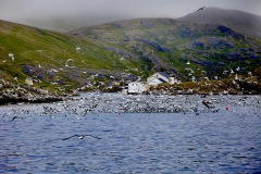 TUFJORDEN 20110730.


Tufjorden, reportasje