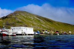 TUFJORDEN 20110730.


Tufjorden, reportasje