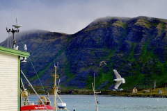 TUFJORDEN 20110730.


Tufjorden, reportasje