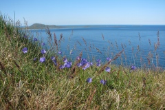 Ingøy i bakgrunnen